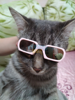 1705541896154.png