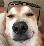 1705542057203.png