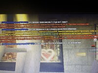 IMG_1198.jpeg