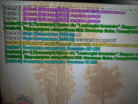 MVIMG_20240129_145637.jpg