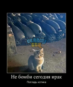 1706878181387.png