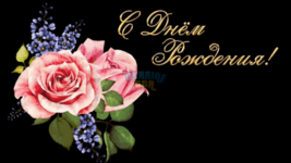 1706895255755.png
