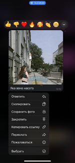 IMG_8184.png