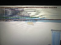 IMG_2643.jpeg