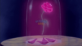 giphy (12).gif