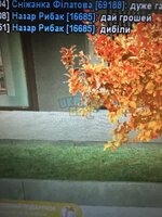 IMG_5544.jpeg