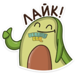 1708960569232.png