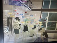 IMG_4806.jpeg