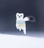 IMG_5730.jpeg