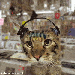 5Cgq.gif