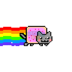 PYh.gif