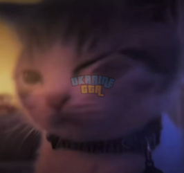 1710693582397.png