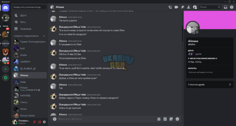 @Alinaaa - Discord 04.04.2024 23_14_20.png