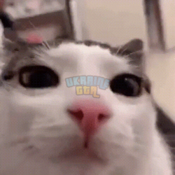 12846.png