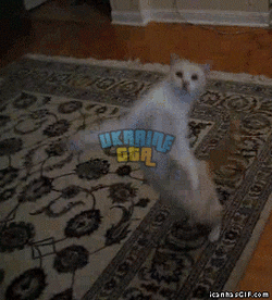 WU7.gif