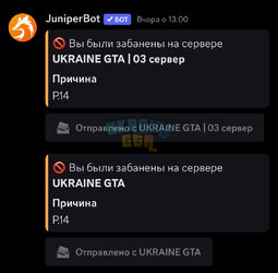 IMG_3852.jpeg
