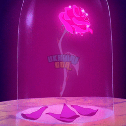 роза.gif