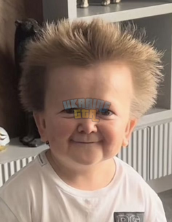 1718483369524.png
