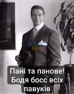 1000051020.jpg