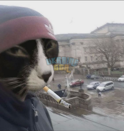 1720107989405.png