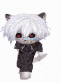 zxc-cat.gif