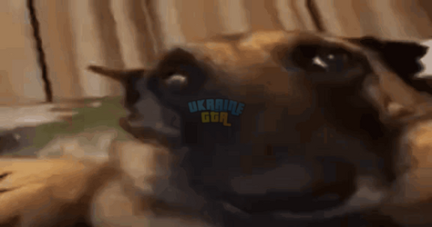 1721034612026.png