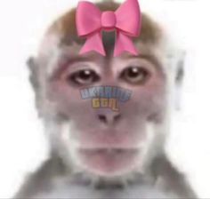 1721154793929.png