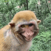 больная-********************************************************-ржёт.gif