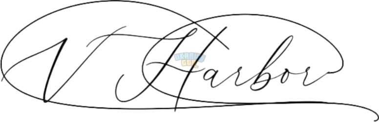 загружено (1).png