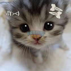 1722790133939.png