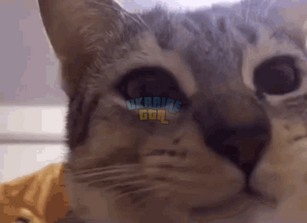 1722979537625.png