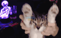 4x.gif