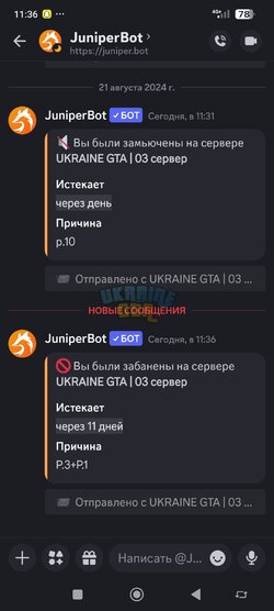 Screenshot_2024-08-21-11-36-48-659_com.discord.jpg