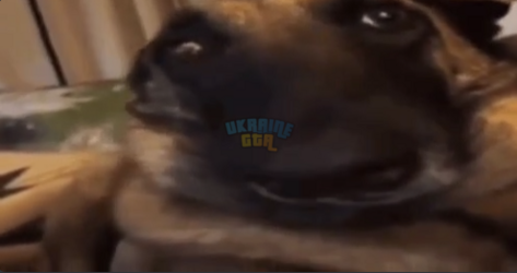 1724448338327.png