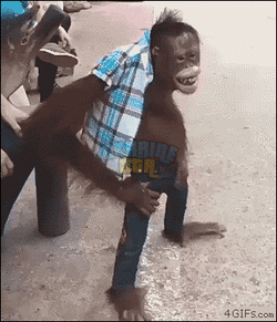 ca131d27e5dc5c6013638bc53fad6371.gif