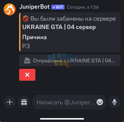 IMG_5537.jpeg
