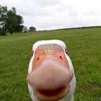 1729088701177.png