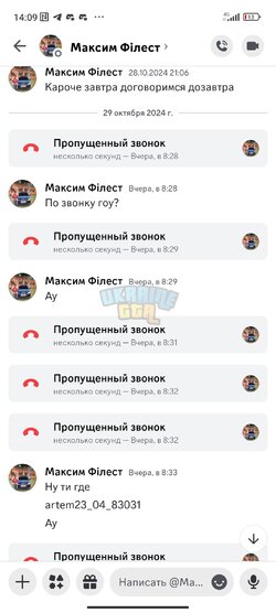 Screenshot_2024-10-30-14-09-18-637_com.discord.jpg