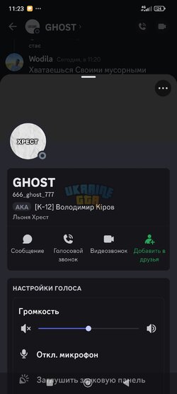 Screenshot_2024-11-01-11-24-00-096_com.discord.jpg