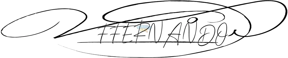 OnlineSignatures.net-309-FERNANDO FERNANDO ...png