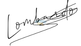 1731240372684.png