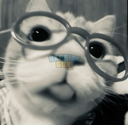 1731847887843.png