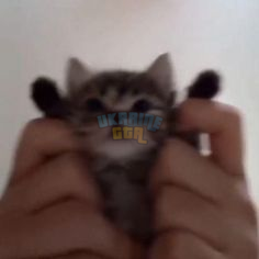 1731933686407.png