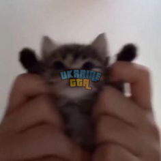 1731961427979.png