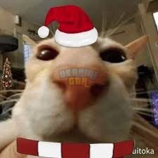 IMG_0965.jpeg