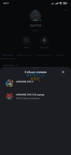 Screenshot_2024-12-15-18-17-40-241_com.discord.jpg
