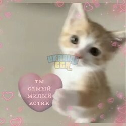IMG_6706.jpeg