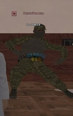 349.jpeg