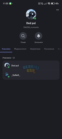 Screenshot_2025-01-19-11-03-25-344_com.discord.jpg
