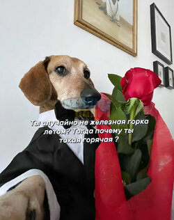 IMG_3948.jpeg